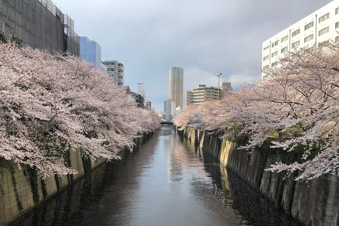 Shinjuku: Food Tour – 15 Dishes & 3 Drinks at 4 Eateries - Comfort, pace, and small practical details