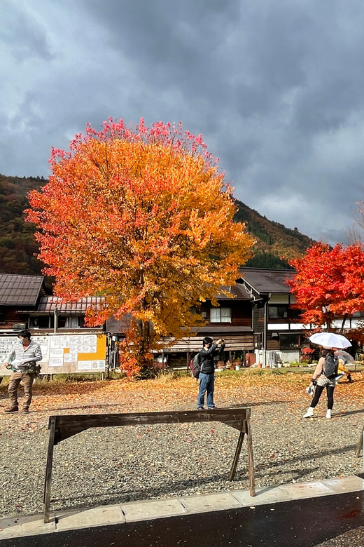 Shirakawa-go UNESCO Half-Day Tour from Takayama - Free time for photos and your own pace