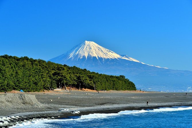 Shizuoka/Shimizu Mt Fuji View 6 hr Private Tour: Guide Only - Key points at a glance