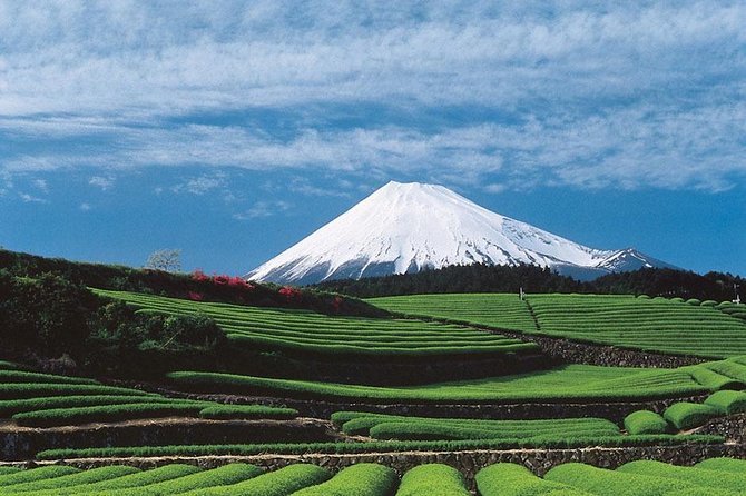 Shizuoka/Shimizu Mt Fuji View 6 hr Private Tour: Guide Only - Nihondaira Parkway and the classic Fuji view