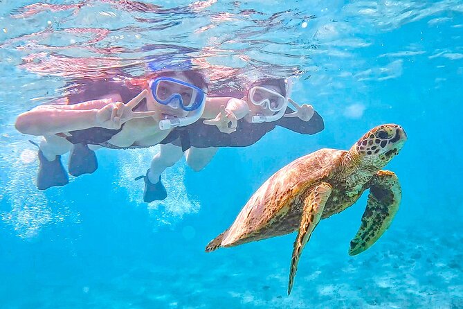 Snorkeling Activity in Okinawa Miyako Japan - Key points to know before you book