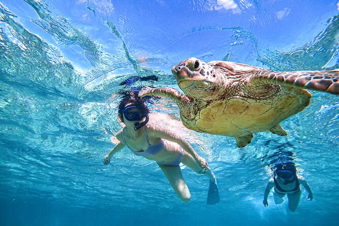 Snorkeling Activity in Okinawa Miyako Japan - Why sea turtles make this Miyakojima snorkel special