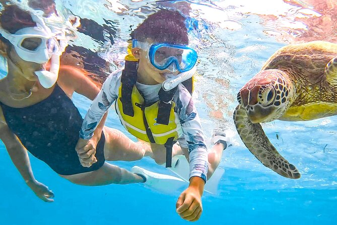 Snorkeling Activity in Okinawa Miyako Japan - The first hour: safety, equipment, and getting comfortable