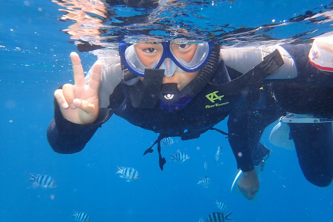 Snorkeling in the Blue Cave area【Okinawa Prefecture: Free feeding & photo images!English and Chinese speaking guide available! - What happens if the Blue Cave is closed