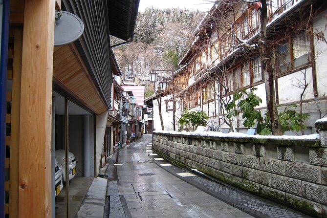 Snow Monkey & Shibu Onsen Afternoon Tour (Depart: Iiyama & Nozwa) - Why the snow monkeys are worth the effort