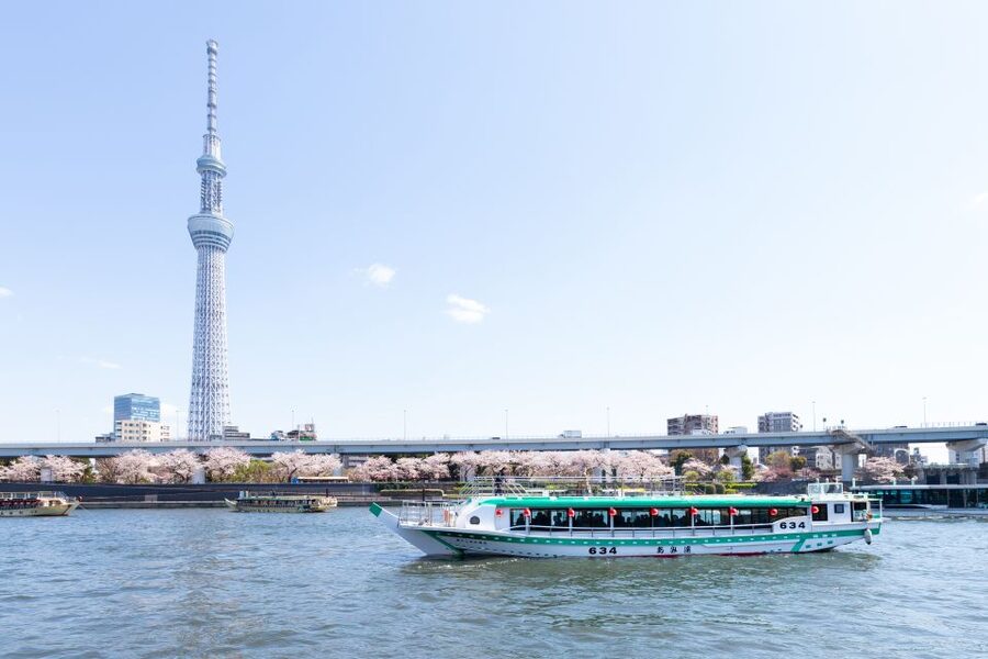 Sumida River: Japanese Traditional Yakatabune Dinner Cruise - Who should book this cruise?