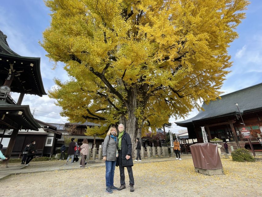 Takayama: Private Walking Tour with a Local Guide - Key points to know before booking