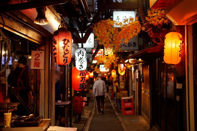 The Dark Side of Tokyo - Night Walking Tour Shinjuku Kabukicho - What this Shinjuku night walk is really about