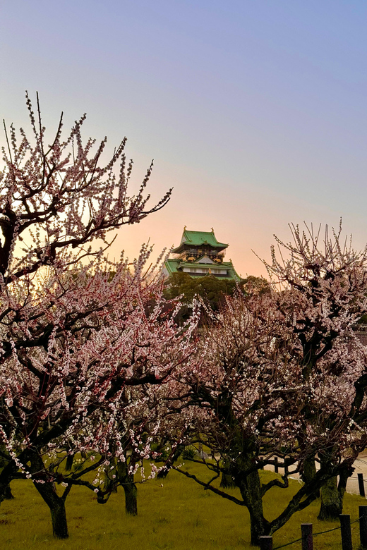 (Ticket Included) Explore Osaka Castle & Museum of History - The Museum of History, from Naniwa Palace to Edo Osaka