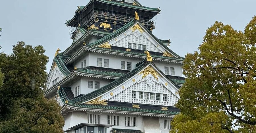 (Ticket Included) Explore Osaka Castle & Museum of History - Finding the Naniwa Palace meeting point