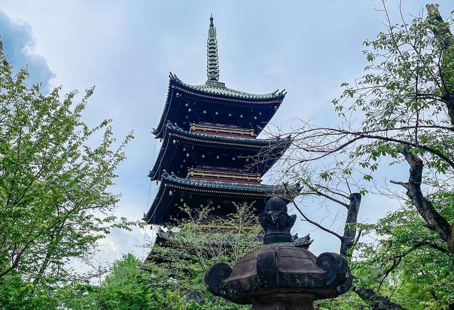 Tokio A: Tour de la ciudad en Español - Spanish - Why this route works for a first Tokyo day