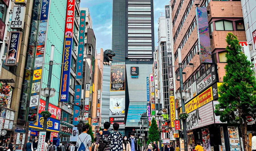 Tokio A: Tour de la ciudad en Español - Spanish - Ueno Park and the pause for lunch