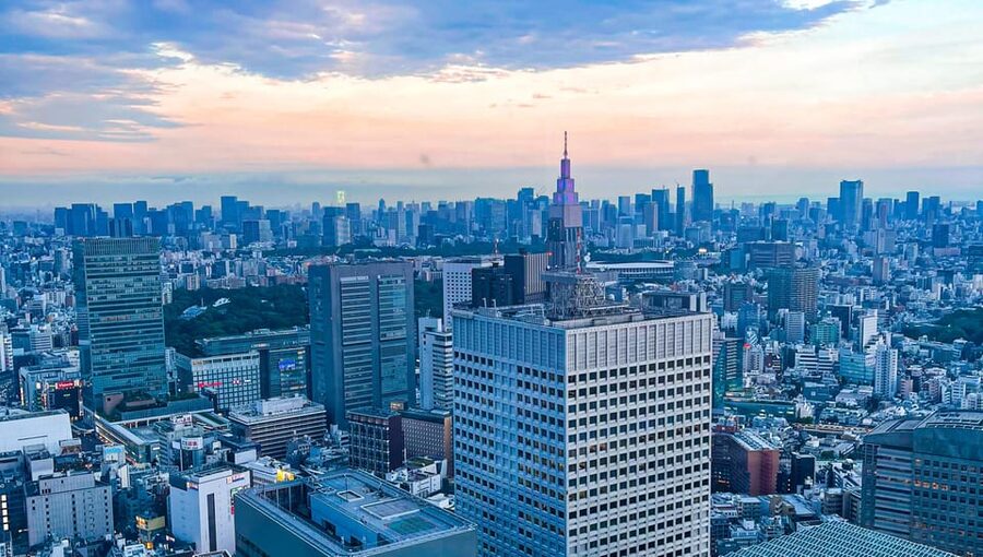 Tokio A: Tour de la ciudad en Español - Spanish - Ending among the neon streets of Kabukicho