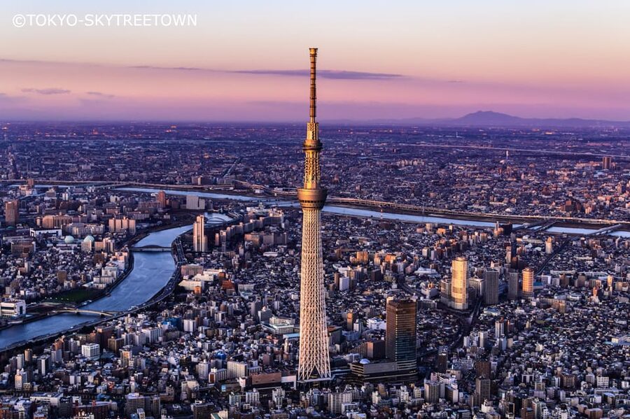 Tokyo: 1 Day Bus Tour with Meiji-Jingu,Odaiba,lunch&Skytree - Key points to know before booking