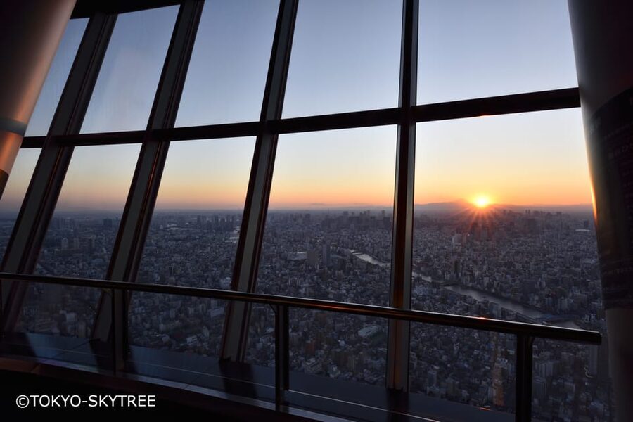Tokyo: 1 Day Bus Tour with Meiji-Jingu,Odaiba,lunch&Skytree - A useful first day in Tokyo