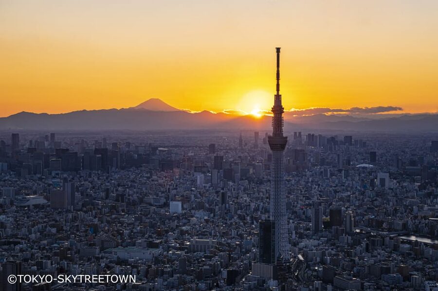 Tokyo: 1 Day Bus Tour with Meiji-Jingu,Odaiba,lunch&Skytree - Meiji Shrine: quiet woods in the middle of the city