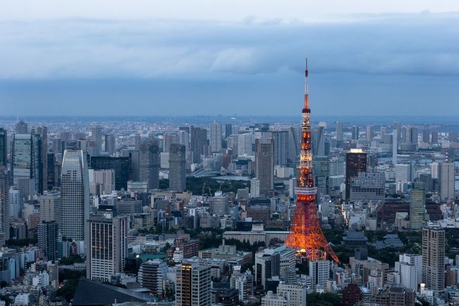 Tokyo: 1-Day Private Customizable Tour by Car - Why a private car helps in sprawling Tokyo