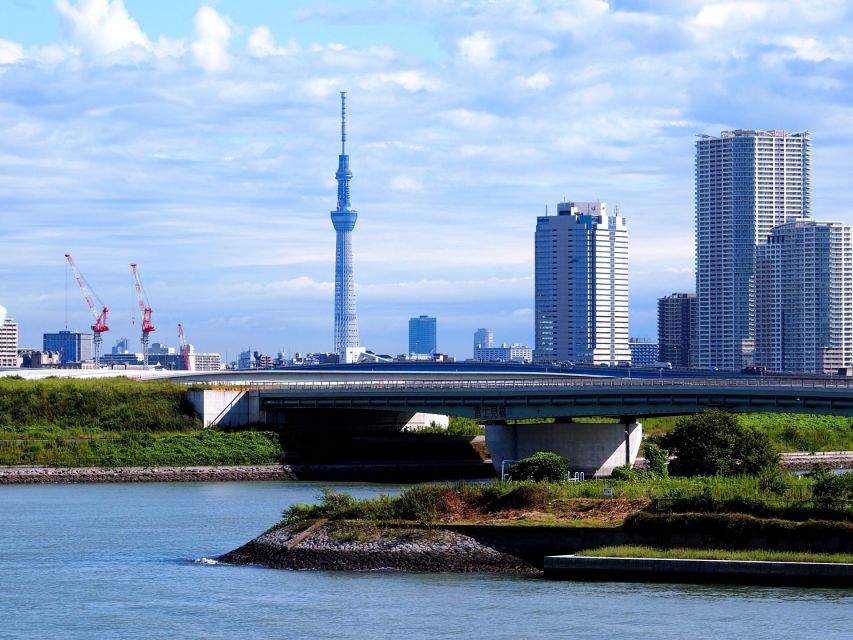 Tokyo: 1-Day Private Customizable Tour by Car - Imperial Palace East Gardens: a short look at Tokyo’s center