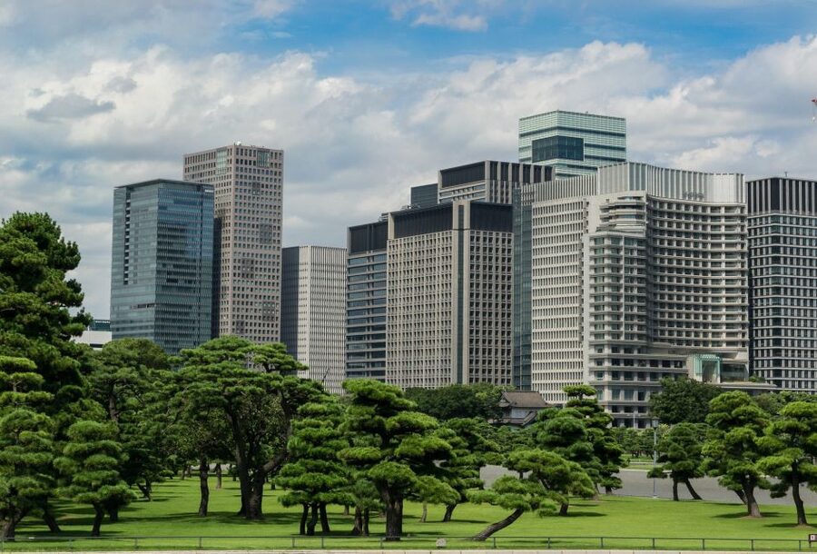 Tokyo: 1-Day Private Customizable Tour by Car - Customizing the day without losing the plot
