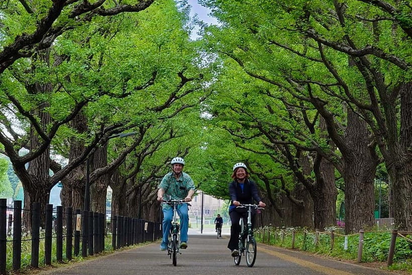 Tokyo: 3h Private E-bike Tours, Starting at Your Hotel - What the three-hour route can include