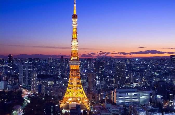 Tokyo 6hr Private Tour with Government-Licensed Guide - Key points to know before booking