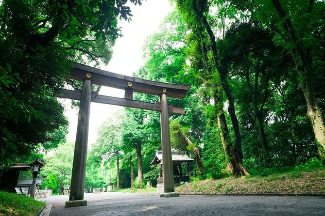 Tokyo 6hr Private Tour with Government-Licensed Guide - Japanese gardens: choose one, not all three