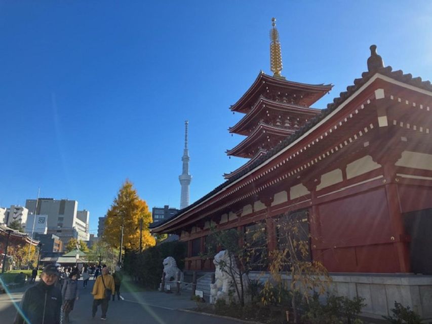 Tokyo: A Half-Day Trip Bus Tour in the Morning - Timing, comfort, and the pace of the stops