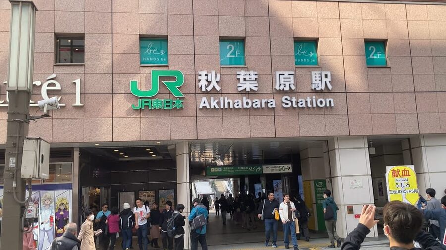 Tokyo Akihabara, Anime, Manga, Video Games & Maid Cafe Tour - Why a guide helps in Akihabara