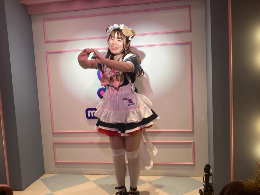 Tokyo Akihabara, Anime, Manga, Video Games & Maid Cafe Tour - Gee store!! and character merchandise