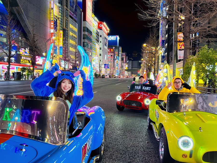Tokyo: Akihabara/Asakusa Go-Karting Tour (including guide) - Who will enjoy this ride most?