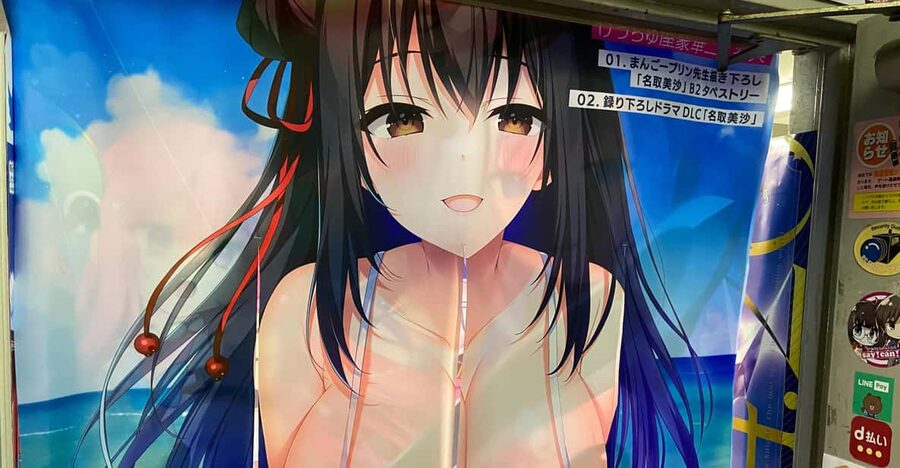 Tokyo: Akihabara Private Hentai Tour - Akihabara beyond the obvious neon
