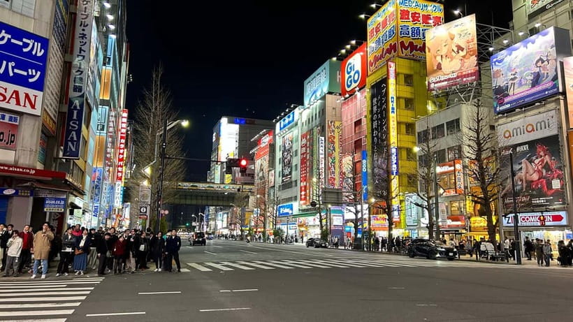 Tokyo: Akihabara, Shibuya, Karaoke & City Lights Night Tour - Karaoke as the evening’s social finish