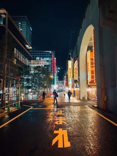 Tokyo: Akihabara, Shibuya, Karaoke & City Lights Night Tour - What $79 includes and what it does not