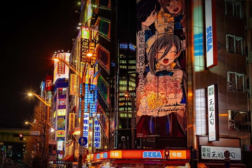 Tokyo: Akihabara, Shibuya, Karaoke & City Lights Night Tour - Should you book this night tour?