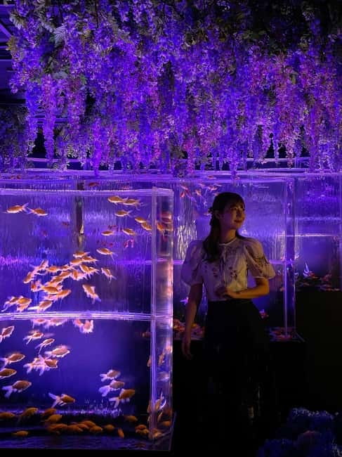 Tokyo: Art Aquarium Museum GINZA Entry Ticket - What the Art Aquarium Museum GINZA actually is