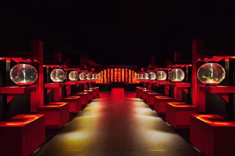 Tokyo: Art Aquarium Museum GINZA Entry Ticket - Photography rules and practical tips