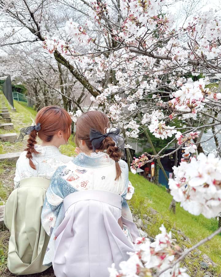 Tokyo Asakusa: Traditional Kimono Rental Experience at Wargo - The value of $33, plus the cost of upgrades