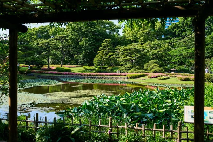 Tokyo Castle & Imperial PalaceーShogun Walking Tour - The guide makes the difference