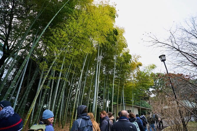 Tokyo Castle & Imperial PalaceーShogun Walking Tour - Starting at Wadakura Fountain Park Starbucks