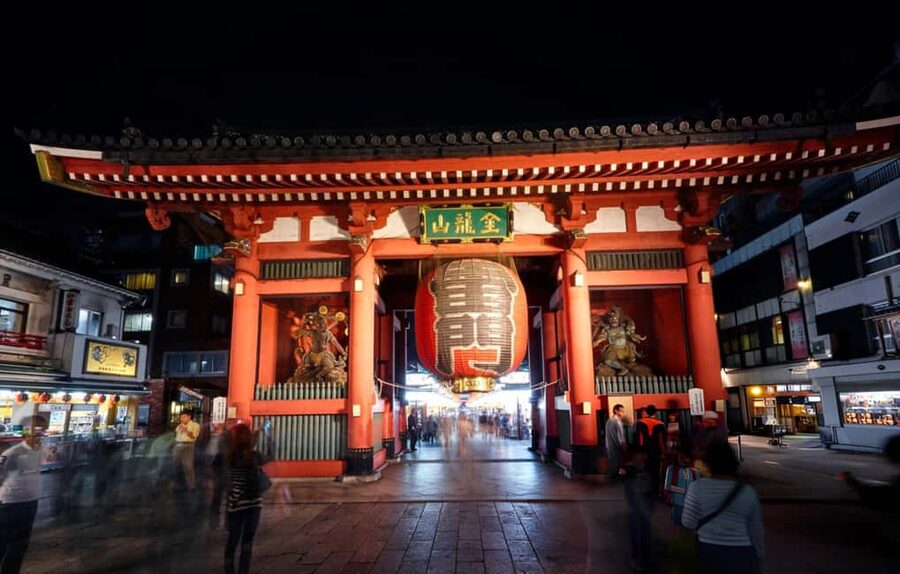 Tokyo: Customizable Day Trip Within Tokyo & English-Driver - Ueno Park and Akihabara in short visits