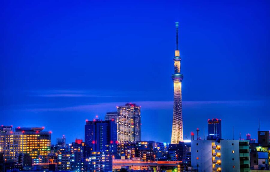 Tokyo: Customizable Day Trip Within Tokyo & English-Driver - Tokyo Skytree and the city from above