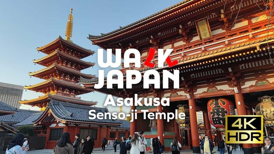 Tokyo: Customizable Day Trip Within Tokyo & English-Driver - Asakusa, where Tokyo begins with a thunder gate