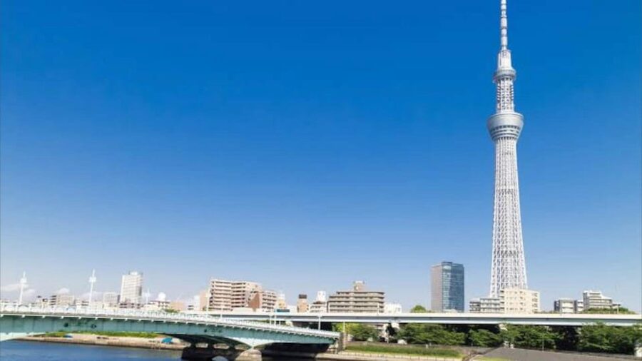 Tokyo: Customizable Private Guided Walking Tour - Learning Tokyo’s subway system