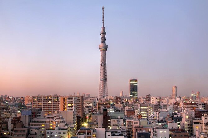 Tokyo Customized Private Tour: See Top Attractions in 1 Day - Key points at a glance