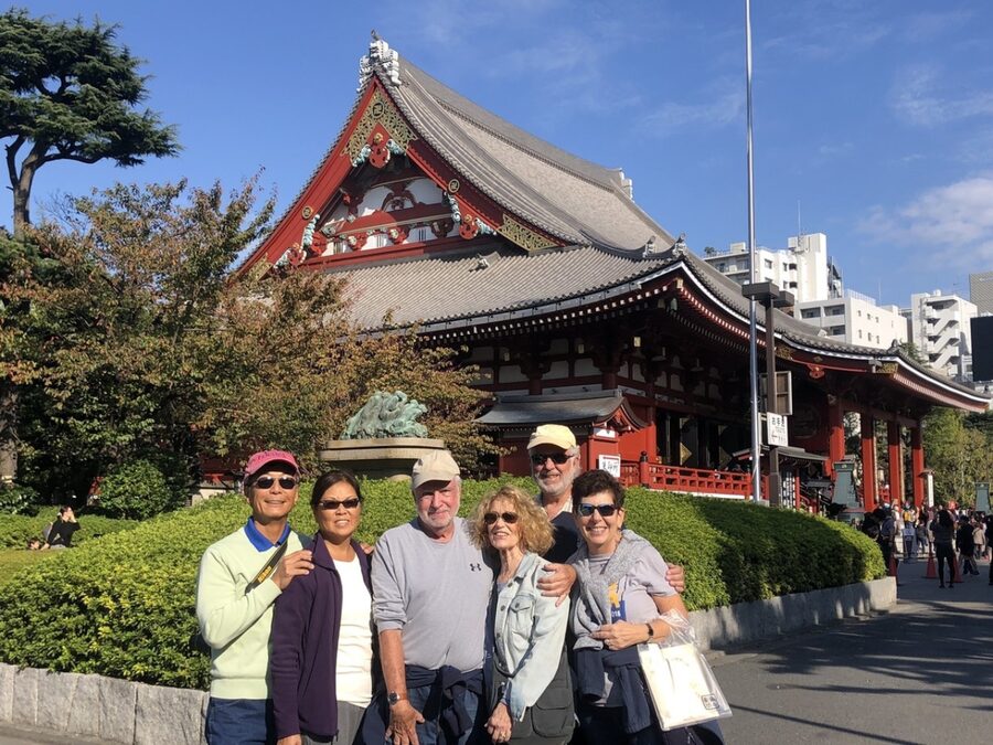 Tokyo Customized Private Tour: See Top Attractions in 1 Day - Museums and Odaiba are best for a custom plan