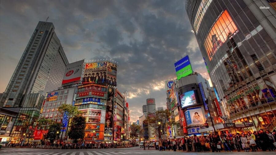 Tokyo: Customized Private Tour with a Local Guide - Shinjuku beyond the neon signs