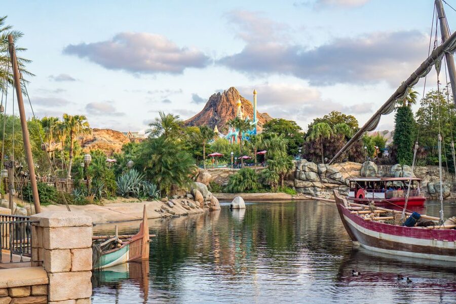 Tokyo Disneyland or DisneySea Ticket & Door to Door Transfer - What this Tokyo Disney package really solves