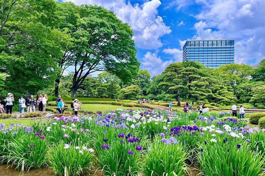 Tokyo: Edo Castle & East Garden of the Imperial Palace Tour - Practical planning for your morning