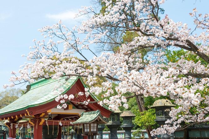 Tokyo: Food Tour in Ueno with 10+ Tastings of Japanese Classics - What you are paying for in Ueno
