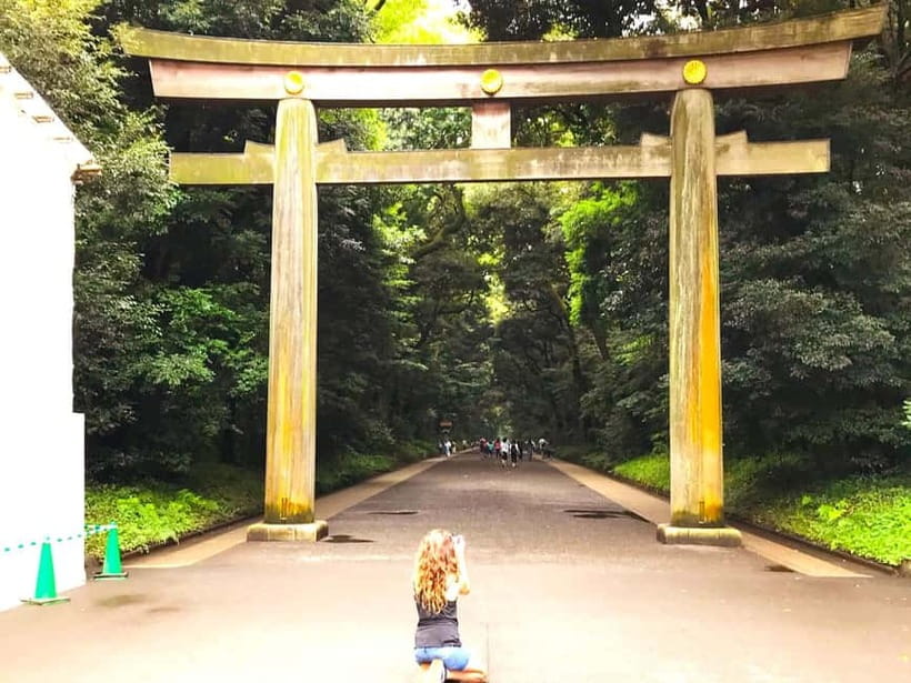 Tokyo: Full Course Tour: Explore 15 Must-Sees & Hidden Gems - Shibuya delivers Tokyo’s best-known urban scene